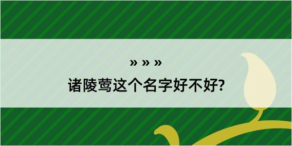 诸陵莺这个名字好不好?