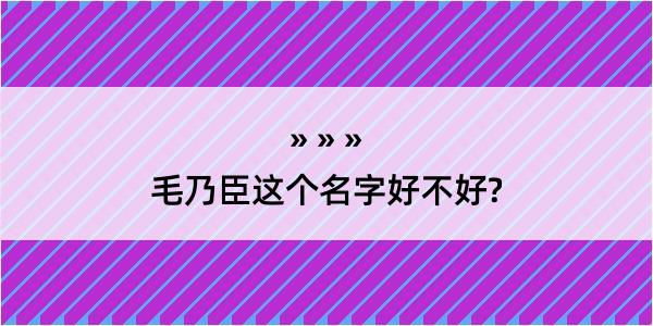 毛乃臣这个名字好不好?