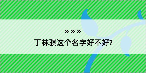 丁林骐这个名字好不好?