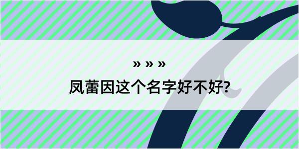 凤蕾因这个名字好不好?