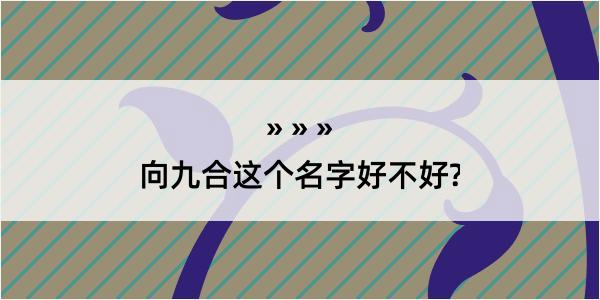 向九合这个名字好不好?