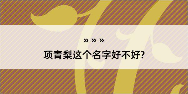 项青梨这个名字好不好?