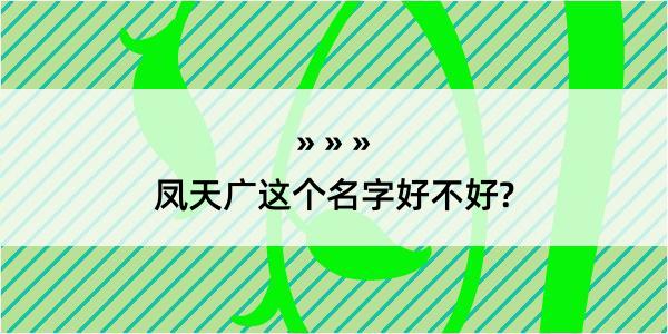 凤天广这个名字好不好?