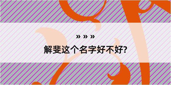 解斐这个名字好不好?