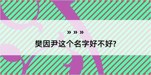 樊因尹这个名字好不好?