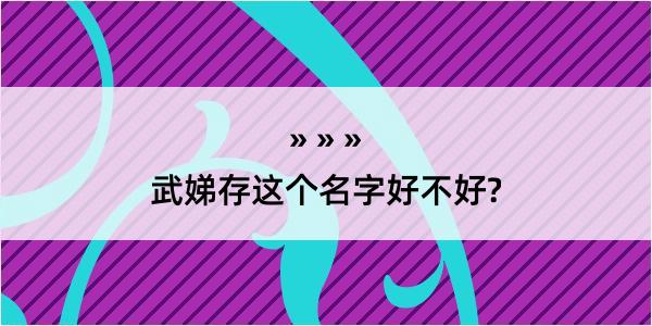 武娣存这个名字好不好?