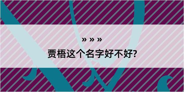 贾梧这个名字好不好?