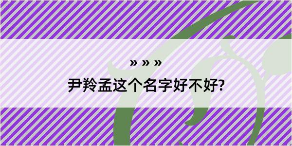 尹羚孟这个名字好不好?