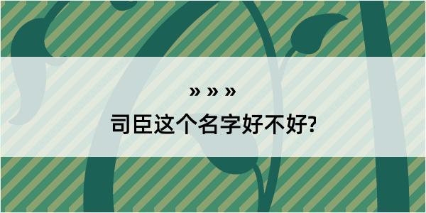 司臣这个名字好不好?