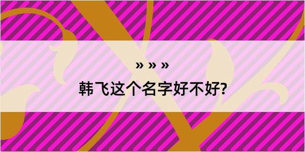 韩飞这个名字好不好?