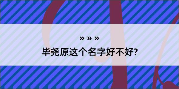 毕尧原这个名字好不好?