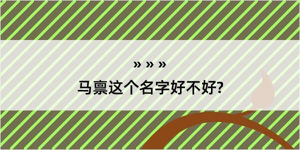 马禀这个名字好不好?