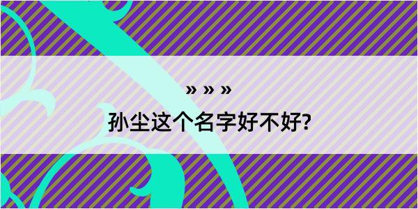 孙尘这个名字好不好?