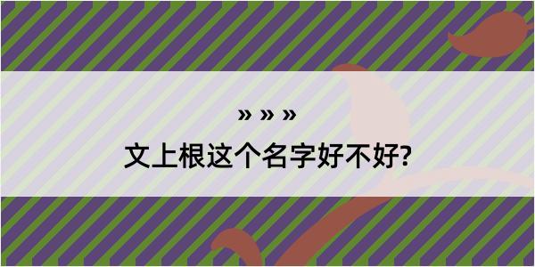 文上根这个名字好不好?