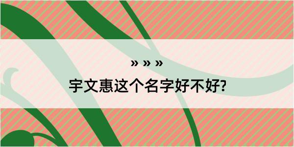 宇文惠这个名字好不好?