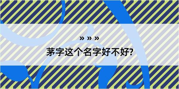 茅字这个名字好不好?