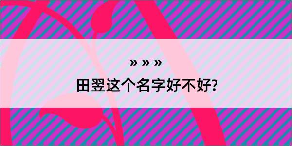 田翌这个名字好不好?