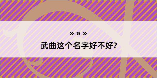 武曲这个名字好不好?