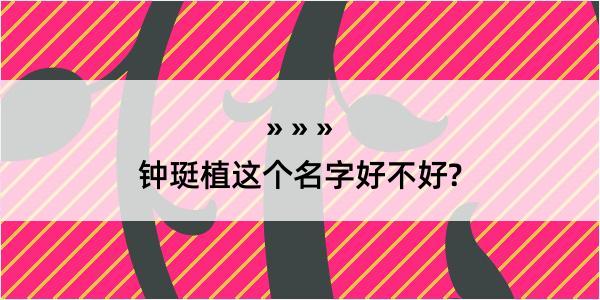 钟珽植这个名字好不好?