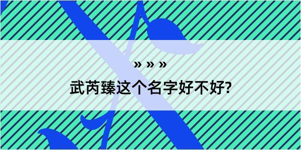 武芮臻这个名字好不好?