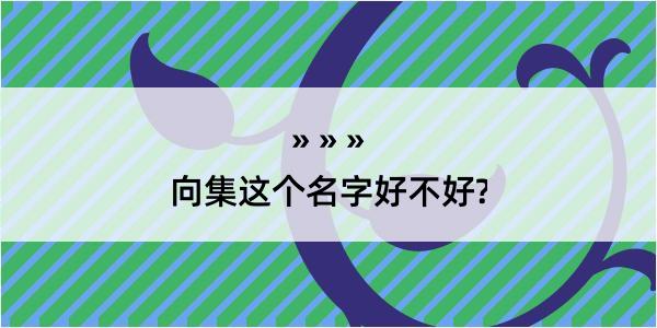 向集这个名字好不好?