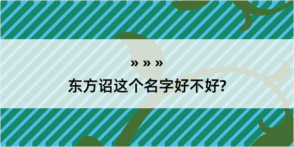 东方诏这个名字好不好?