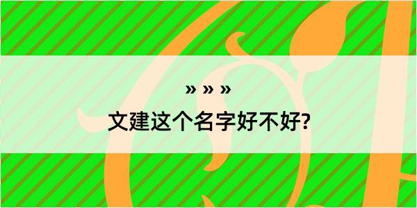 文建这个名字好不好?