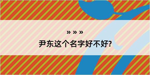 尹东这个名字好不好?