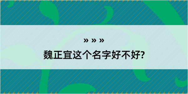 魏正宜这个名字好不好?