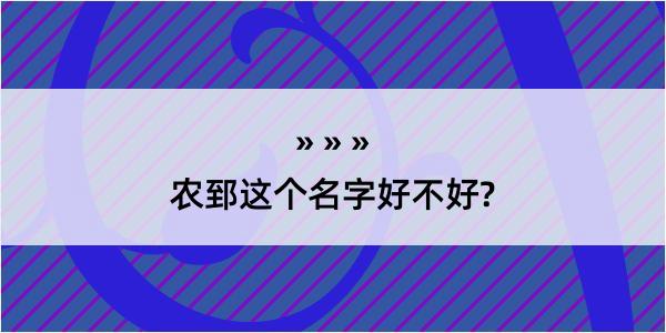 农郅这个名字好不好?