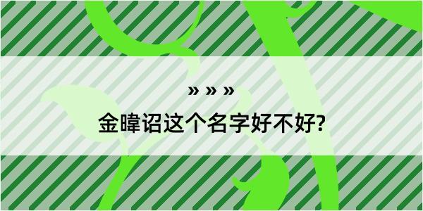 金暐诏这个名字好不好?