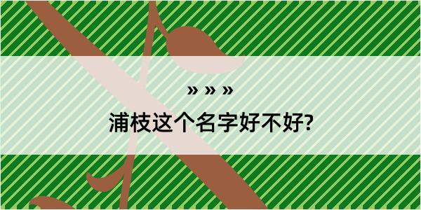 浦枝这个名字好不好?