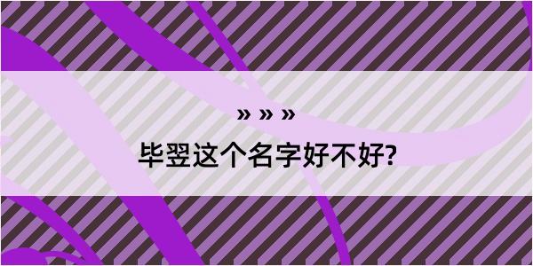 毕翌这个名字好不好?