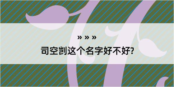 司空剀这个名字好不好?