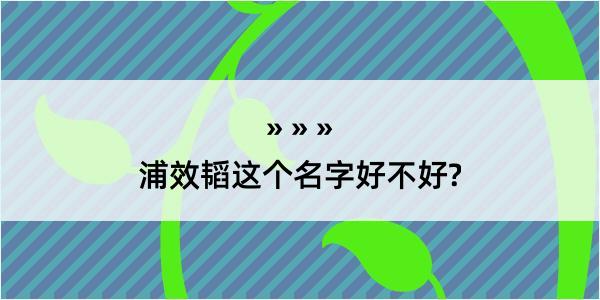 浦效韬这个名字好不好?