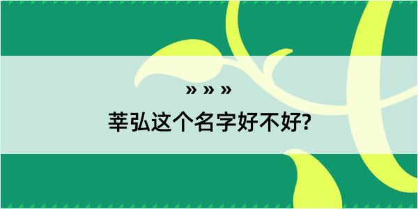 莘弘这个名字好不好?