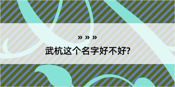 武杭这个名字好不好?