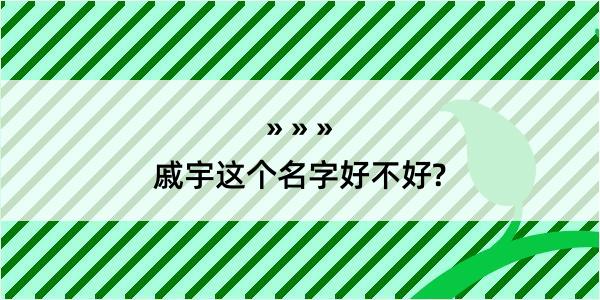 戚宇这个名字好不好?