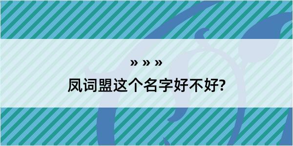 凤词盟这个名字好不好?