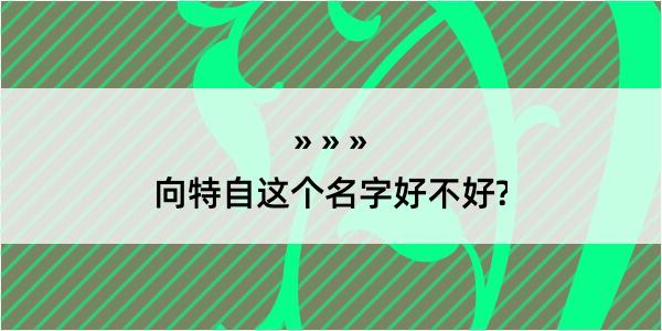 向特自这个名字好不好?