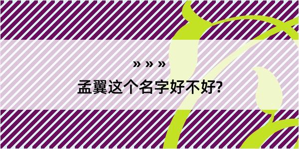 孟翼这个名字好不好?