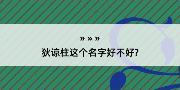 狄谅柱这个名字好不好?