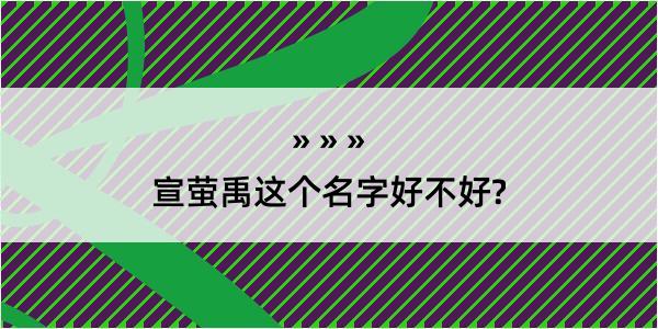 宣萤禹这个名字好不好?