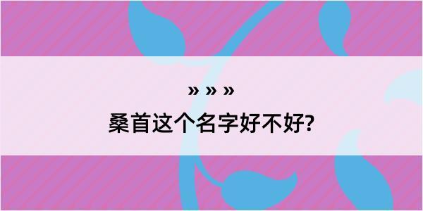 桑首这个名字好不好?