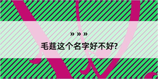 毛莛这个名字好不好?