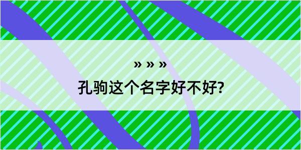 孔驹这个名字好不好?