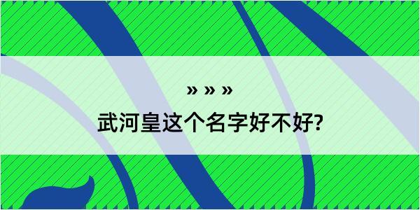 武河皇这个名字好不好?