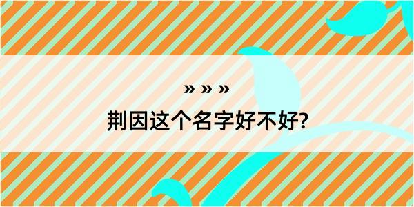 荆因这个名字好不好?