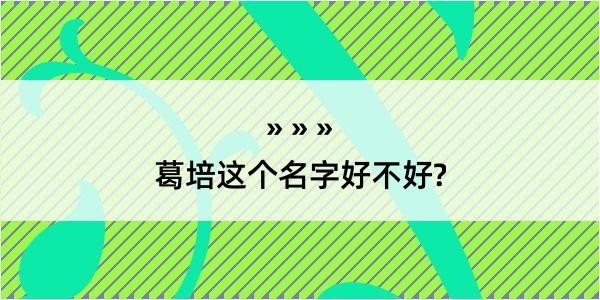 葛培这个名字好不好?