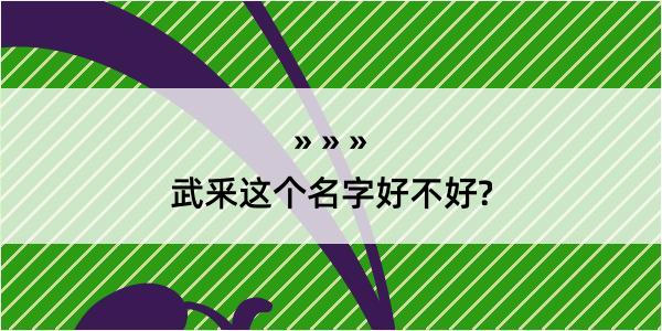 武釆这个名字好不好?